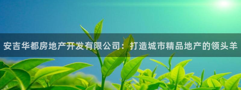 万向娱乐平台招商骗局