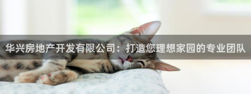 万向娱乐平台代理多少钱一个