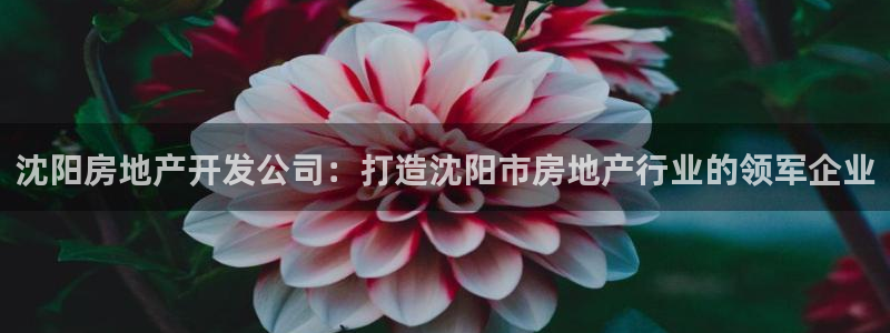 万向娱乐app