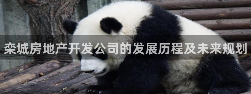 万向娱乐平台注册条件
