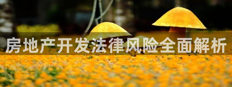 万向娱乐平台注册条件有哪些