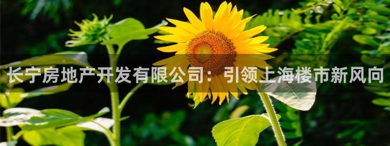 万向娱乐注册登录开户怎么弄