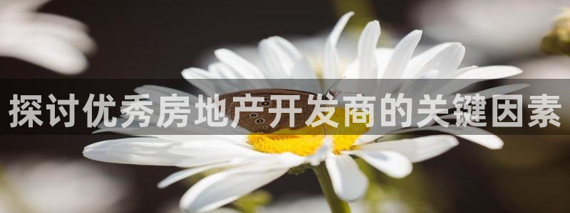 万向娱乐app下载苹果版