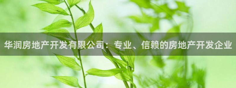 万向娱乐是野鸡台吗