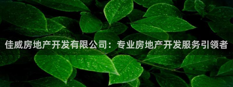 万向娱乐平台注册条件有哪些