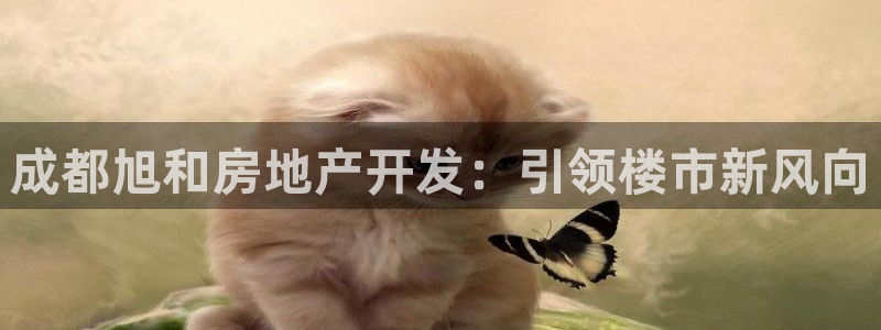 万向娱乐官网网址是多少