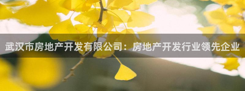 万向娱乐注册登录不了账号