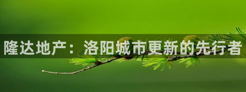 万向娱乐公司 585.34I 娱乐