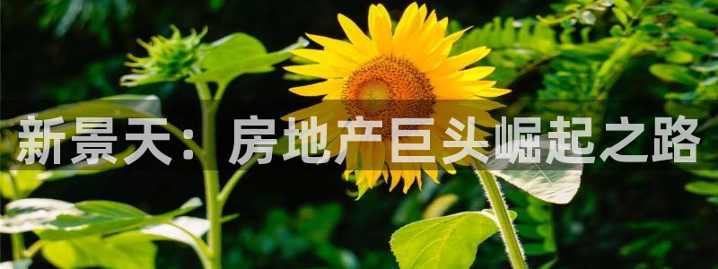 万向娱乐注册登录不了怎么回事