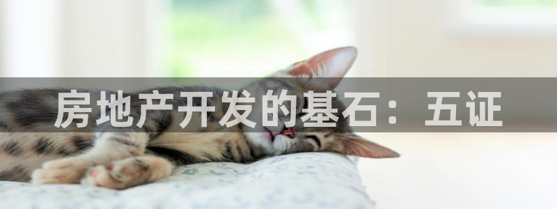 万向娱乐平台代理怎么样