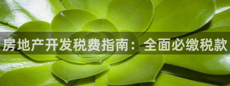 万向娱乐的494o3 主管