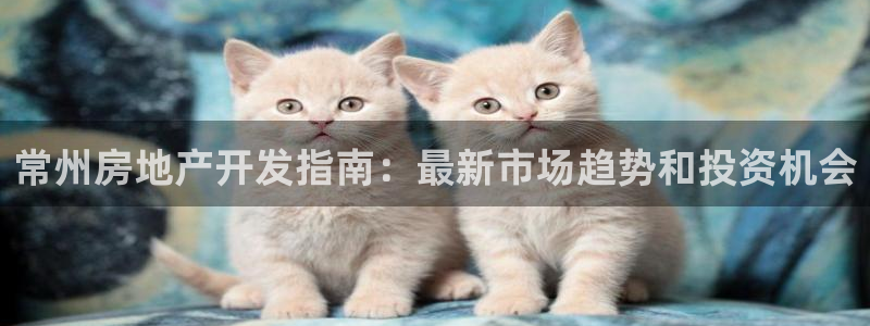 万向娱乐app下载官网