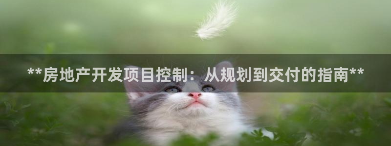 万向娱乐王者荣耀