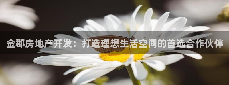万向娱乐app