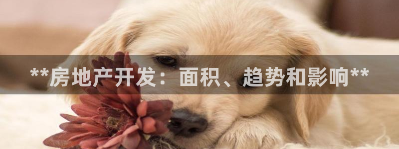 万向娱乐老板