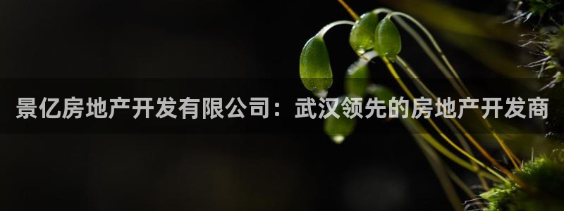 万向娱乐登陆官网入口
