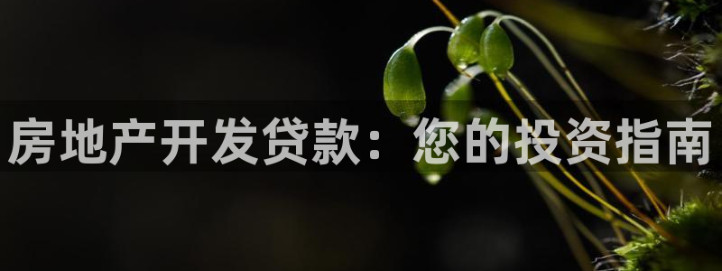 万向娱乐注册登录开户