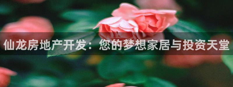 万向娱乐老板