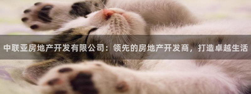 万向娱乐平台注册流程视频