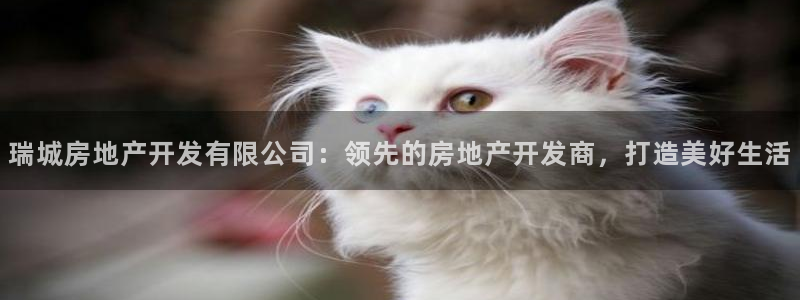 万向娱乐注册资金多少
