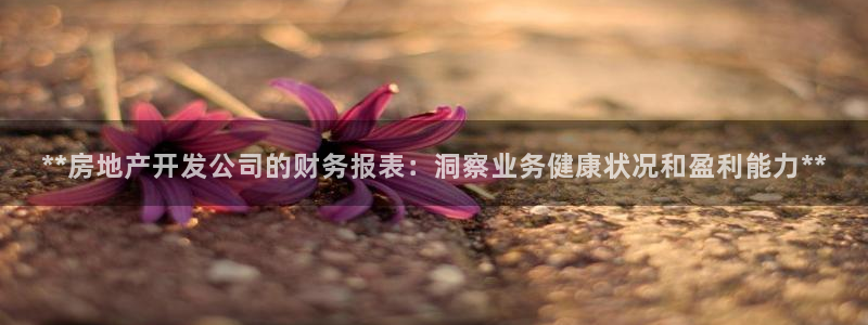 万向娱乐注册资金多少