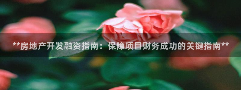 万向娱乐灯333OO