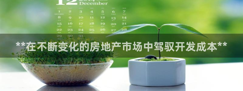 万向娱乐平台代理怎么样啊