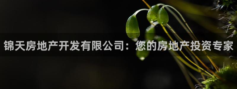 万向娱乐登陆