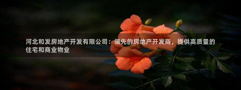 万向娱乐公司官网电话