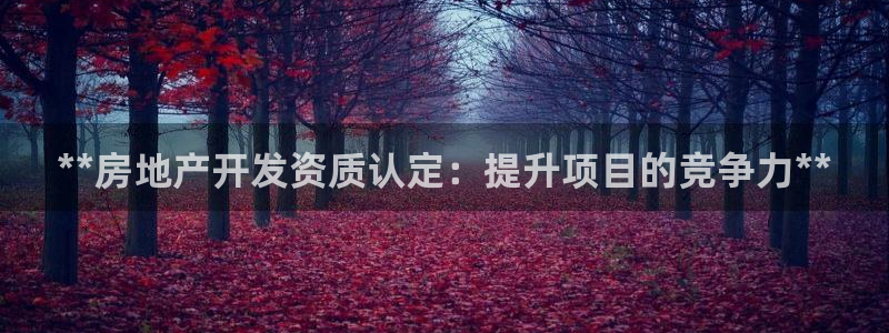 万向娱乐网址是什么