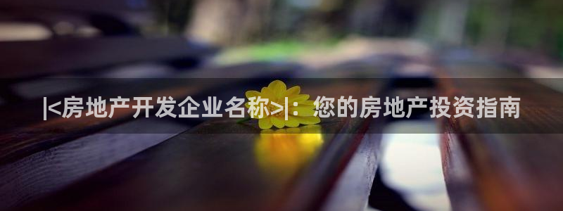 万向娱乐老板