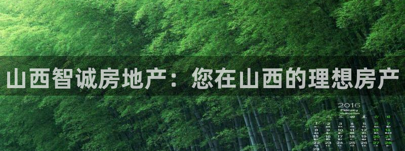 万向娱乐平台代理多少钱一年