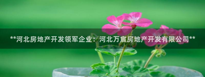 万向娱乐平台代理怎么做