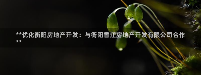万向娱乐app下载