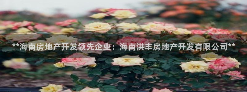 万向娱乐平台下载安装手机版