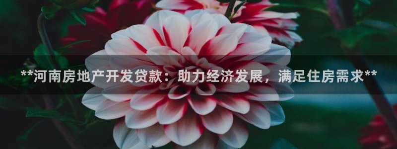 万向娱乐