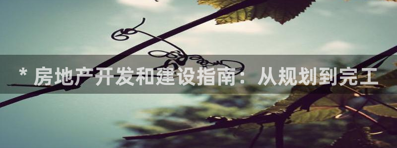 万向娱乐平台代理多少钱一个