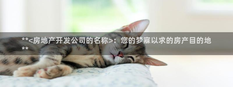 万向娱乐平台代理多少钱