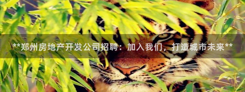 万向娱乐app下载苹果版