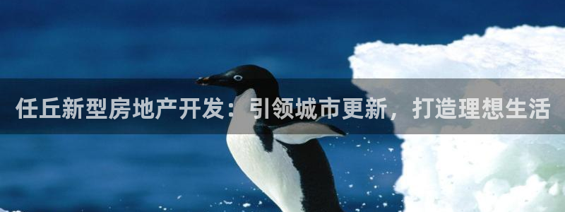 万向娱乐的494o3 主管
