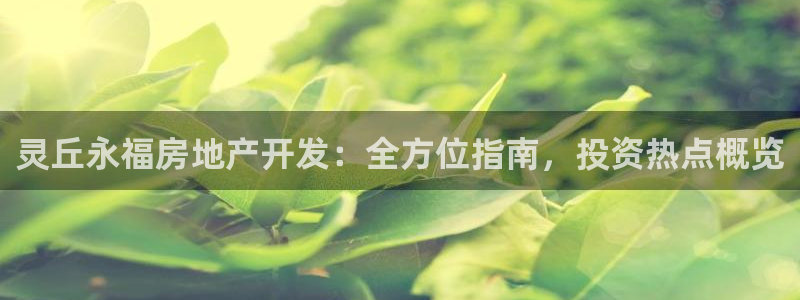 万向娱乐平台代理多少钱一个