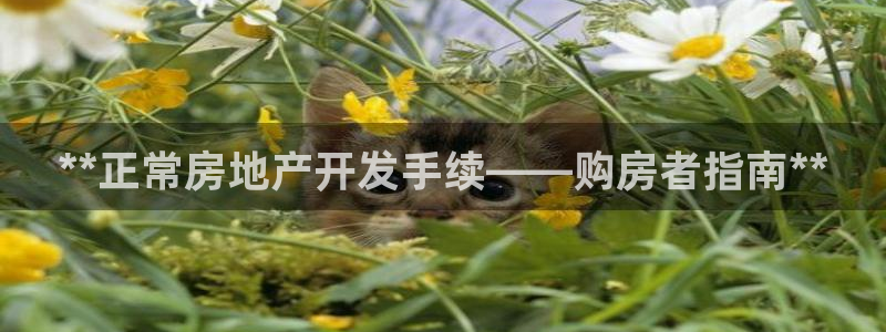 万向娱乐平台代理多少钱一年