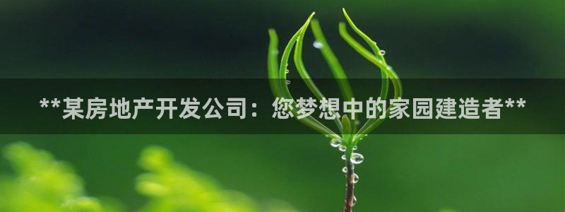 万向娱乐平台代理多少钱