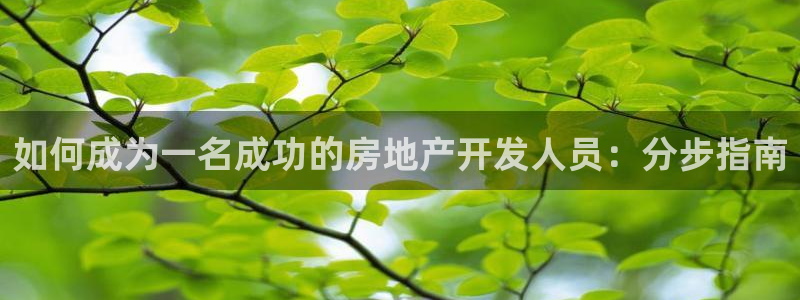 万向娱乐灯333OO