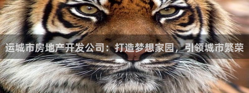 万向娱乐平台代理怎么做的