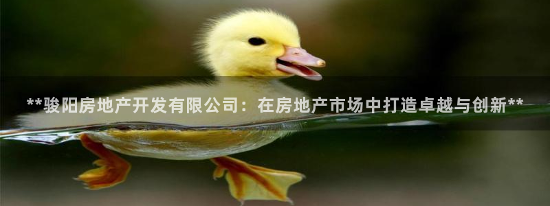 万向娱乐的联系方式