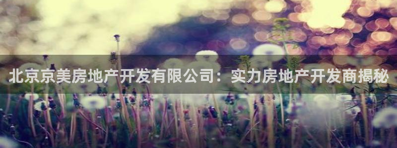 万向娱乐总代