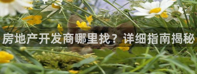 万能娱乐代理网址