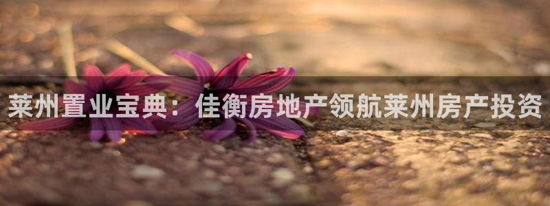 万向娱乐挂机软件