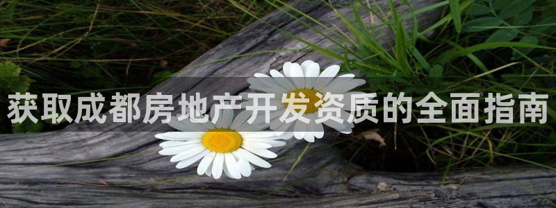 万向娱乐技术分享